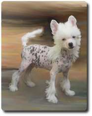Snoopy Z Gwiazd Kasjopei Snoopy Z Gwiazd Kasjopei