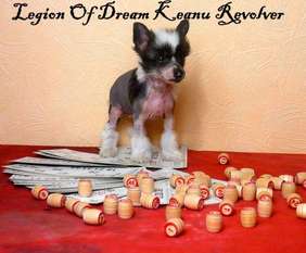 Legion Of Dream Keanu Revolver Legion Of Dream Keanu Revolver