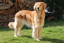 Bild von Jule vom Julienhof