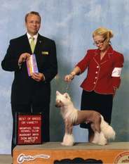 Ch Epic's Like A Rhinestone Cowboy Ch Epic's Like A Rhinestone Cowboy