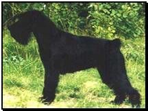 Mohner’s Gertrud Mohner’s Gertrud