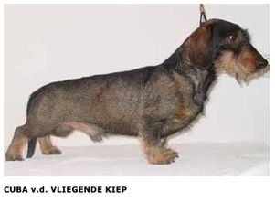 Cuba van de vliegende Kiep Cuba van de vliegende Kiep