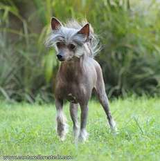 She Looks Like An Old Ladie (tamayo) She Looks Like An Old Ladie (tamayo)
