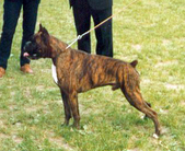 Hermes del Colle dell'Infinito