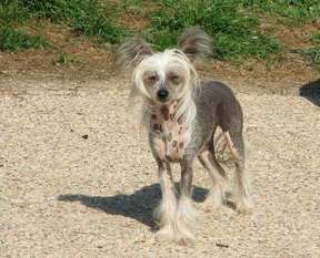 Beautifull Girl Du Doux Mystere Beautifull Girl Du Doux Mystere