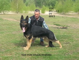 Vox vom Sulzachgrund Vox vom Sulzachgrund