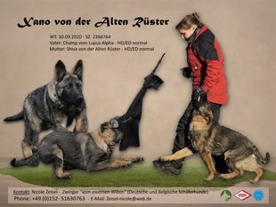 Xano von der alten Rüster Xano von der alten Rüster