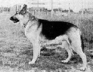 Tayshet K-107 (Sveshnikov) Tayshet K-107 (Sveshnikov)