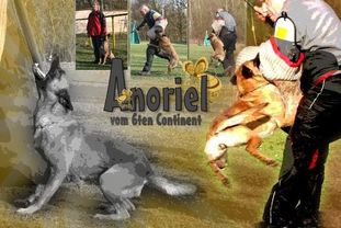 Anoriel vom 6ten Continent Anoriel vom 6ten Continent
