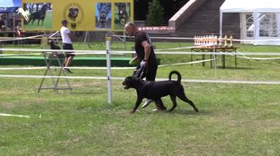 Carlito Singidunum Rott Carlito Singidunum Rott