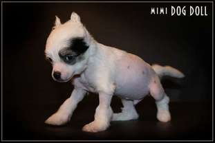 Mimi Dog Doll Chios Mimi Dog Doll Chios