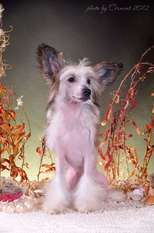 My Lucky Love Izel My Lucky Love Izel