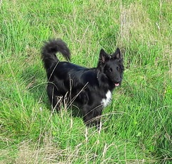 Colin (Oliver-Rausch) Colin (Oliver-Rausch)