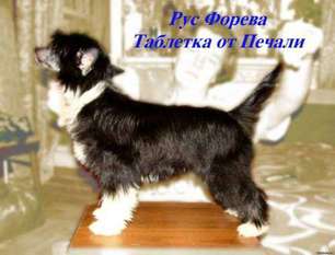 Rus Foreva Tabletka Ot Pechali Rus Foreva Tabletka Ot Pechali