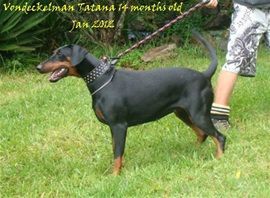 Von Deckelman Tatana Von Deckelman Tatana
