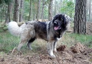 Wally-Waneshka Von Der Rudeljahne Wally-Waneshka Von Der Rudeljahne