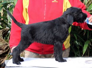 Xanthippe von Blackmoore Xanthippe von Blackmoore