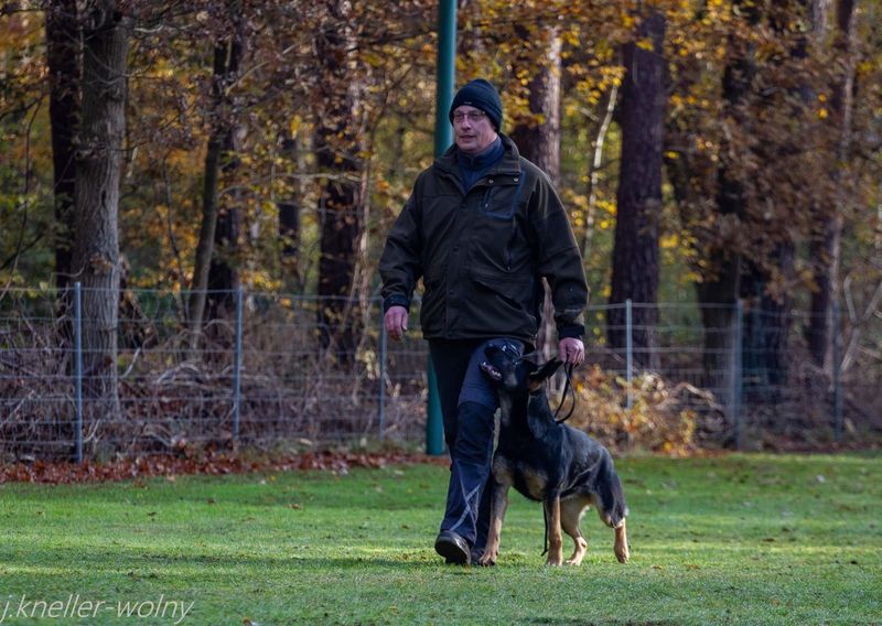 Extra vom Alten Bernauer Heerweg workingdog