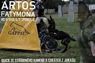 Artos Fatymona Artos Fatymona