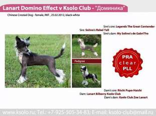 Lanart Domino Effect V Ksolo Club Lanart Domino Effect V Ksolo Club