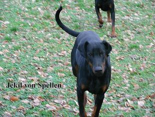 Jekil von Spellen Jekil von Spellen