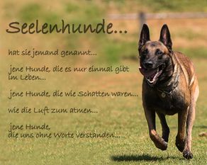 El Bandit von den Räuberwegen El Bandit von den Räuberwegen