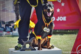Bambam von den Wichtelhäusern Bambam von den Wichtelhäusern