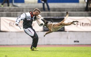 Cadha Force Canina Cadha Force Canina