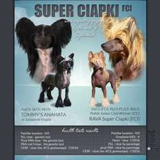 Rava Super Ciapki Rava Super Ciapki