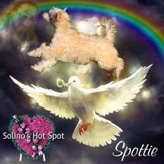 Solino's Hot Spot Solino's Hot Spot