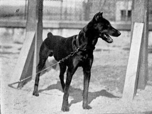 Roland von der Saar Roland von der Saar