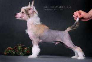 Smart Style Of Course I'm Smart Style Of Course I'm