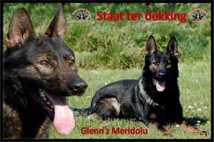 Glenn z Meridolu Glenn z Meridolu