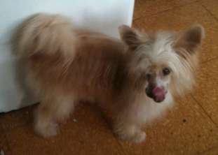 Rugen Miko Trinity Rugen Miko Trinity