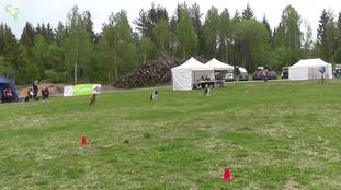 Myrullen's Ludvig Myrullen's Ludvig
