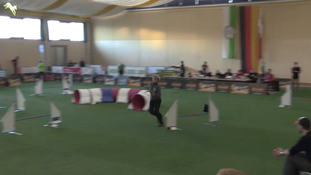 Best agility Caroline Best agility Caroline