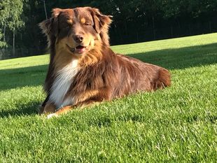 Big Fred (Kasteleiner) Big Fred (Kasteleiner)