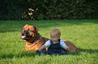 Soraya ID6230 (Lichte)