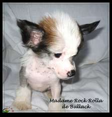 Madame Rock Rolla De Bullack Madame Rock Rolla De Bullack