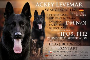 Ackey Levemar Ackey Levemar