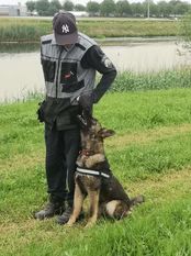 Jirk von Sico Schwarz Haus Jirk von Sico Schwarz Haus