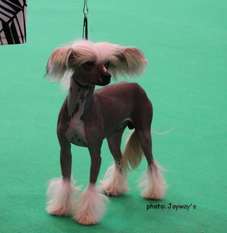 Bryelis Just Like Jezuz Bryelis Just Like Jezuz