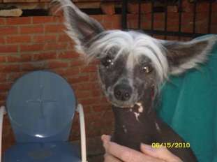 Libertys Hi-life Sunz Her Bunz Libertys Hi-life Sunz Her Bunz