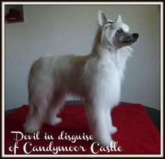 Devil In Disguise Of Candymoor Castle Devil In Disguise Of Candymoor Castle