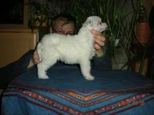 Ellada Snow Imperija Ellada Snow Imperija
