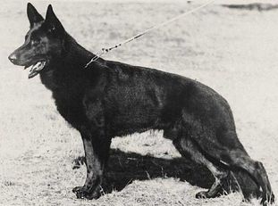 Frei von der Gugge Frei von der Gugge