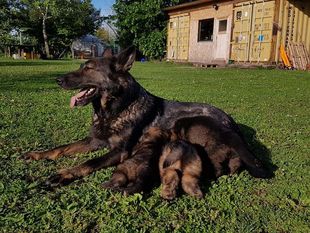 Cita od Zbojnika Cita od Zbojnika