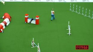 Champion of Agility Quick Angel Champion of Agility Quick Angel