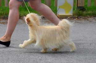 Pinky Twinky I Kissed A Girl Pinky Twinky I Kissed A Girl