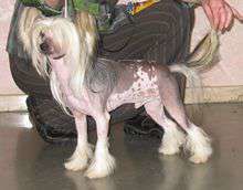 Vernisazh Mari Yudel White Velvet Vernisazh Mari Yudel White Velvet